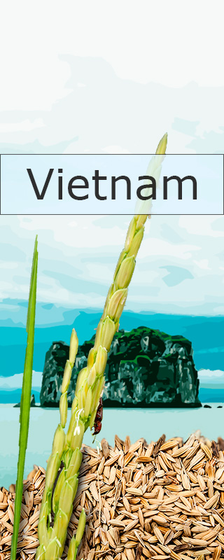 Vietnam